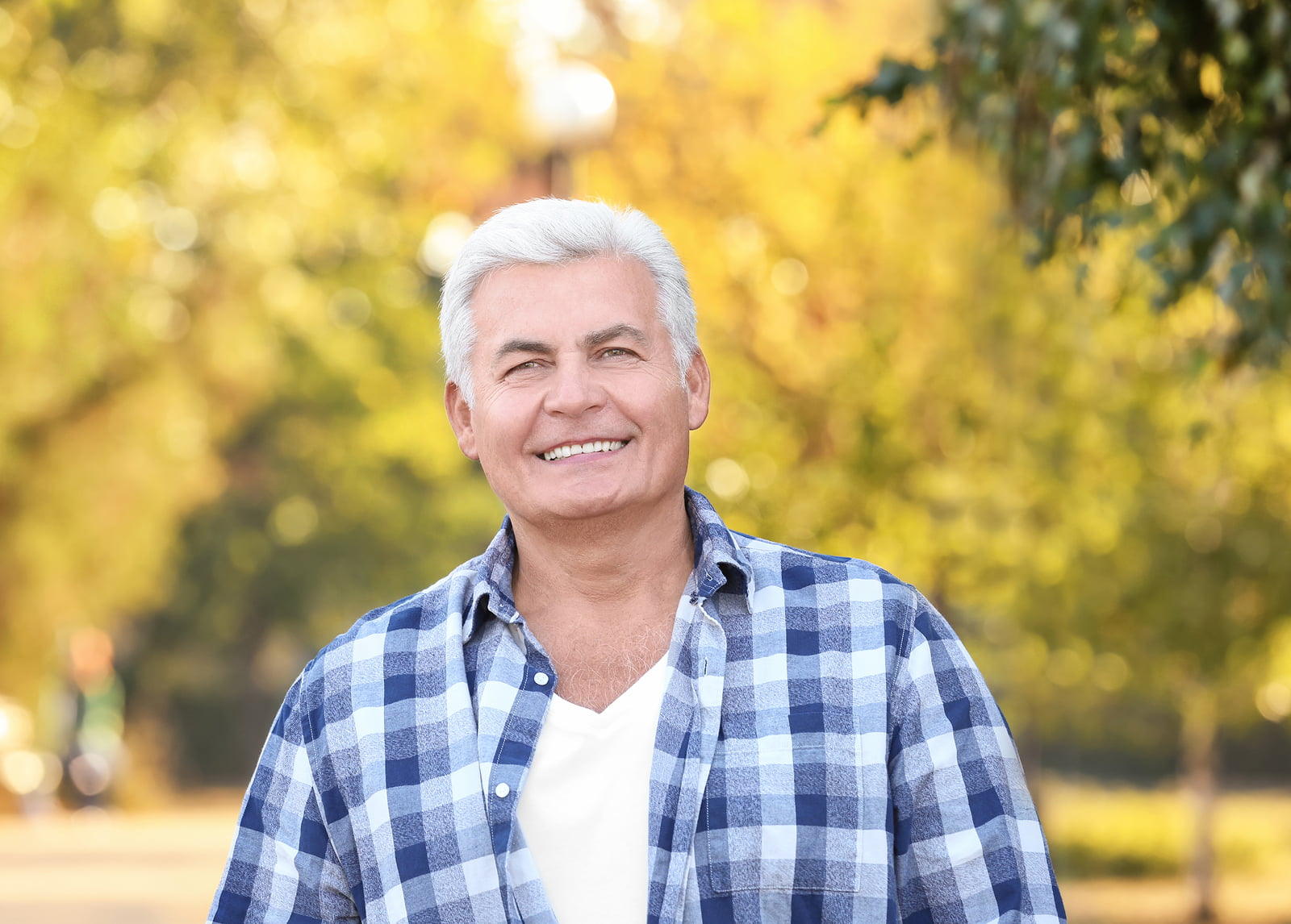 Implant-Supported Bridge